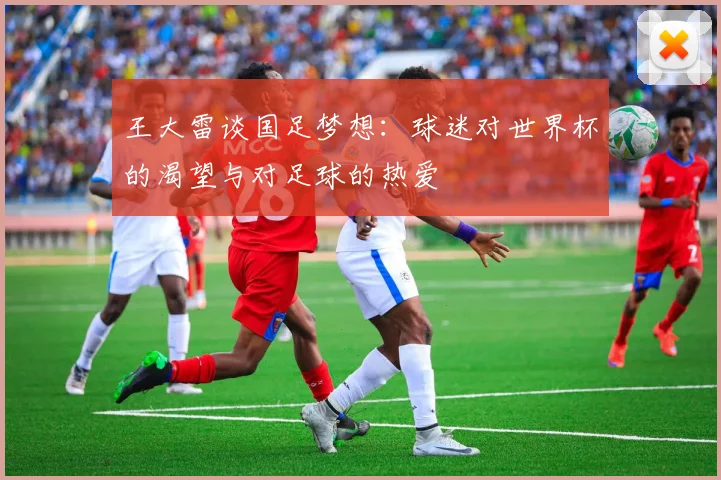 王大雷谈国足梦想：球迷对世界杯的渴望与对足球的热爱
