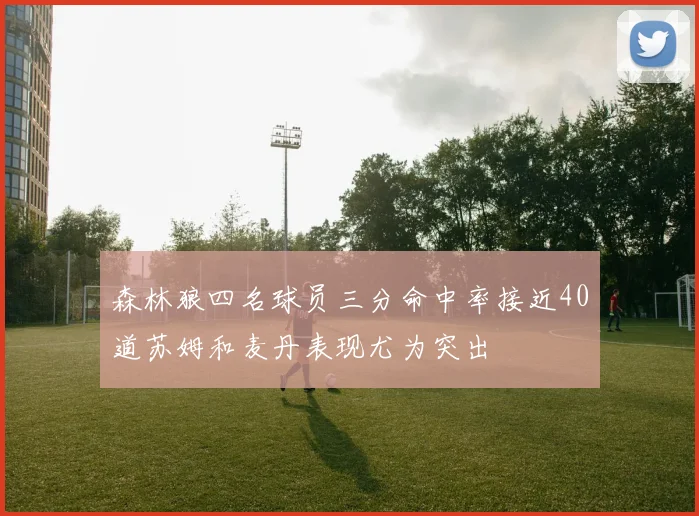 森林狼四名球员三分命中率接近40道苏姆和麦丹表现尤为突出